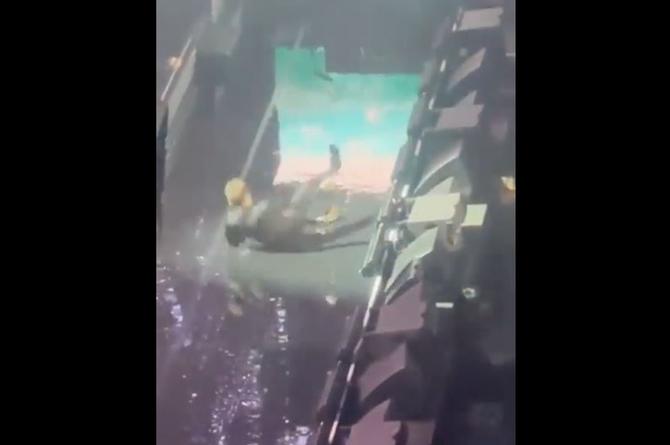 Imagen Así fue la aparatosa caída de Luis Miguel en pleno concierto (+video)