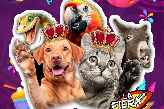 ¡Apúrate! LA FIERA busca mascotas para reyes del Carnaval de Veracruz 