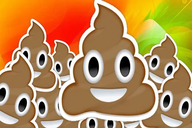 Ofrecen hasta 35 dólares por donar popis  en una ciudad japonesa 