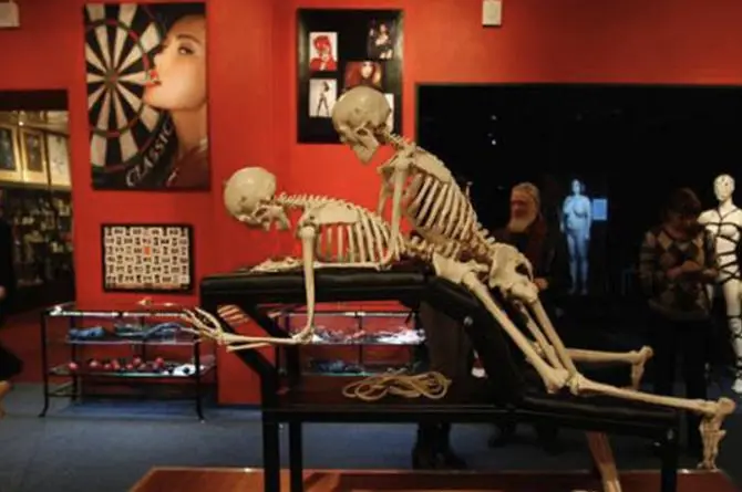 El Museo del S3xo más  sorprendente del mundo 