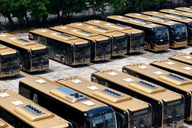 Camiones gratis en el Carnaval de Veracruz ¿qué días y qué lineas?