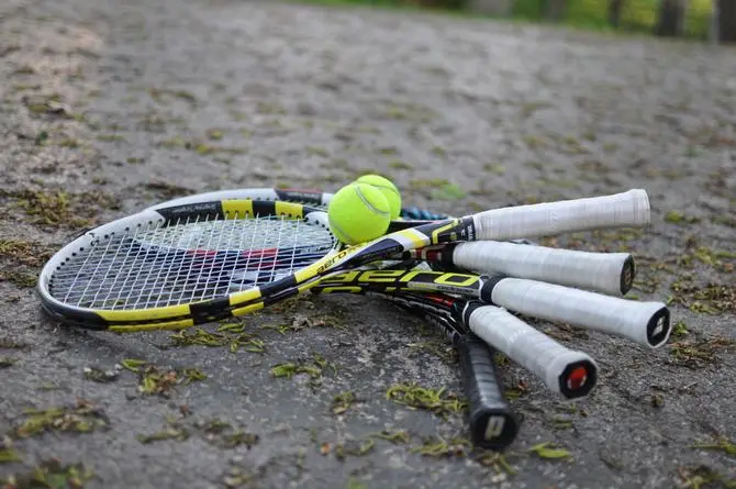 Clasificación ATP Actualizada y Análisis de Jugadores