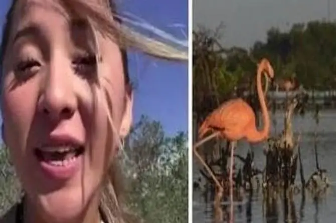 Influencer genera polémica por espantar flamencos en reserva natural de Yucatán