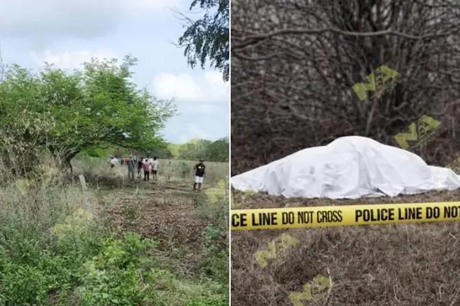 !Burro sin mecate! le arebata la vida a campesino de Paso de Ovejas 