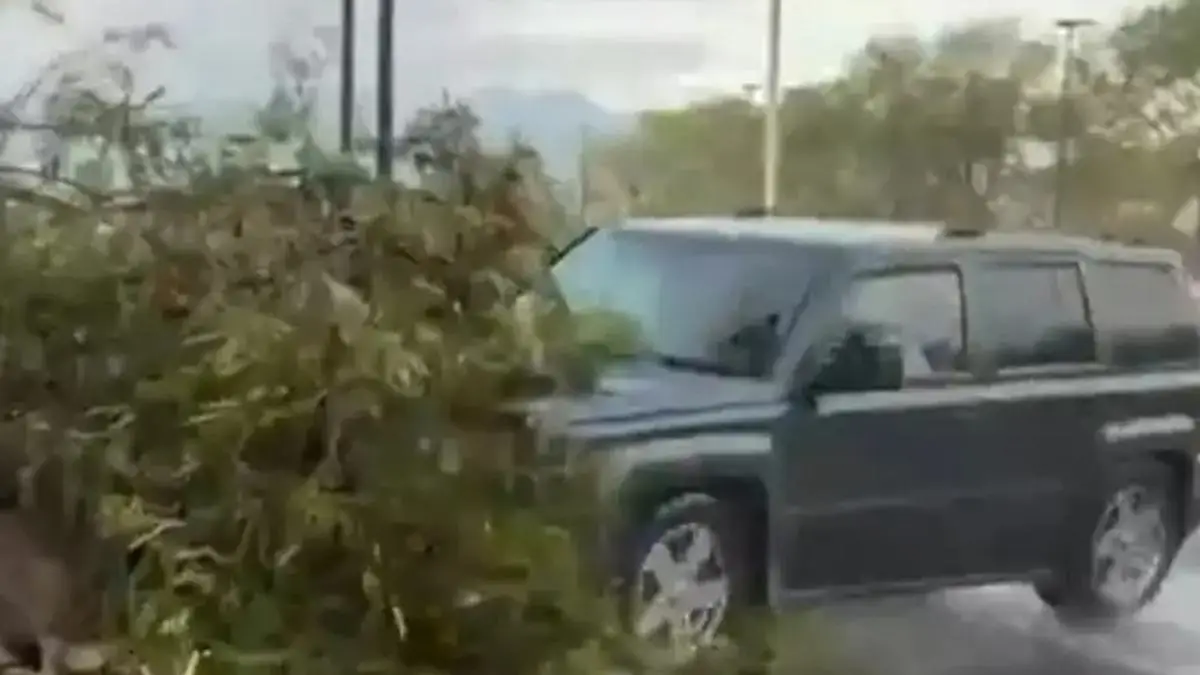 Camioneta derrapa y atropella a reportera y camarógrafo de TV (+video)