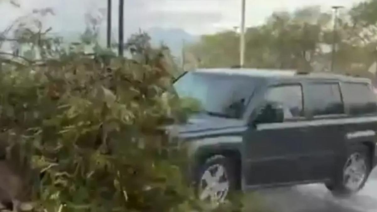 Camioneta derrapa y atropella a reportera y camarógrafo de TV (+video)