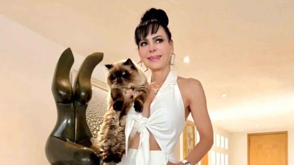 El emotivo mensaje con el que Maribel Guardia respondió a la polémica